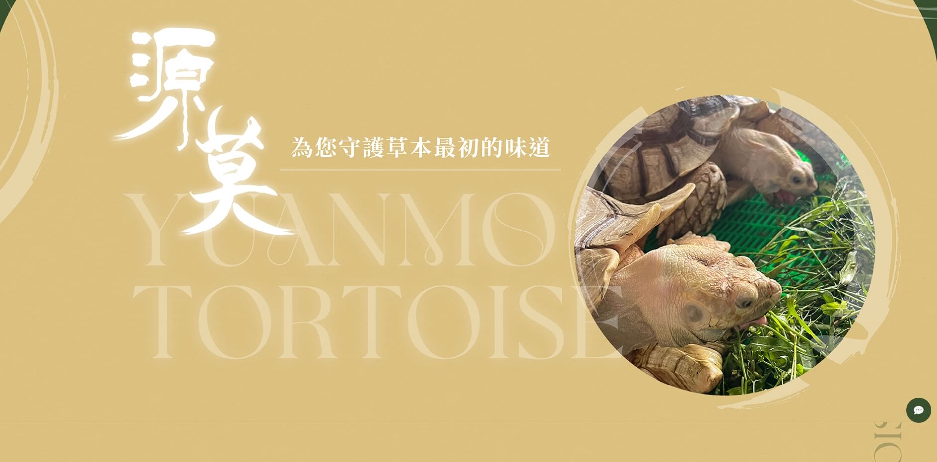 源莫陸龜草本飼料上線 源莫陸龜草本飼料上線