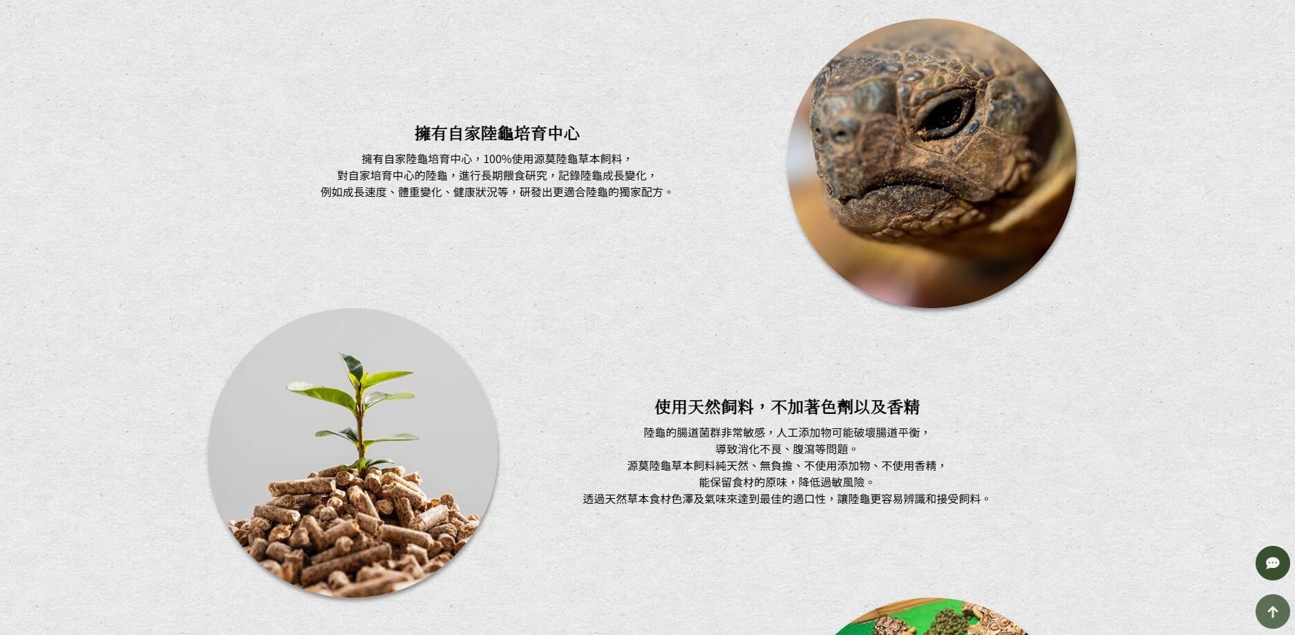 源莫陸龜草本飼料上線