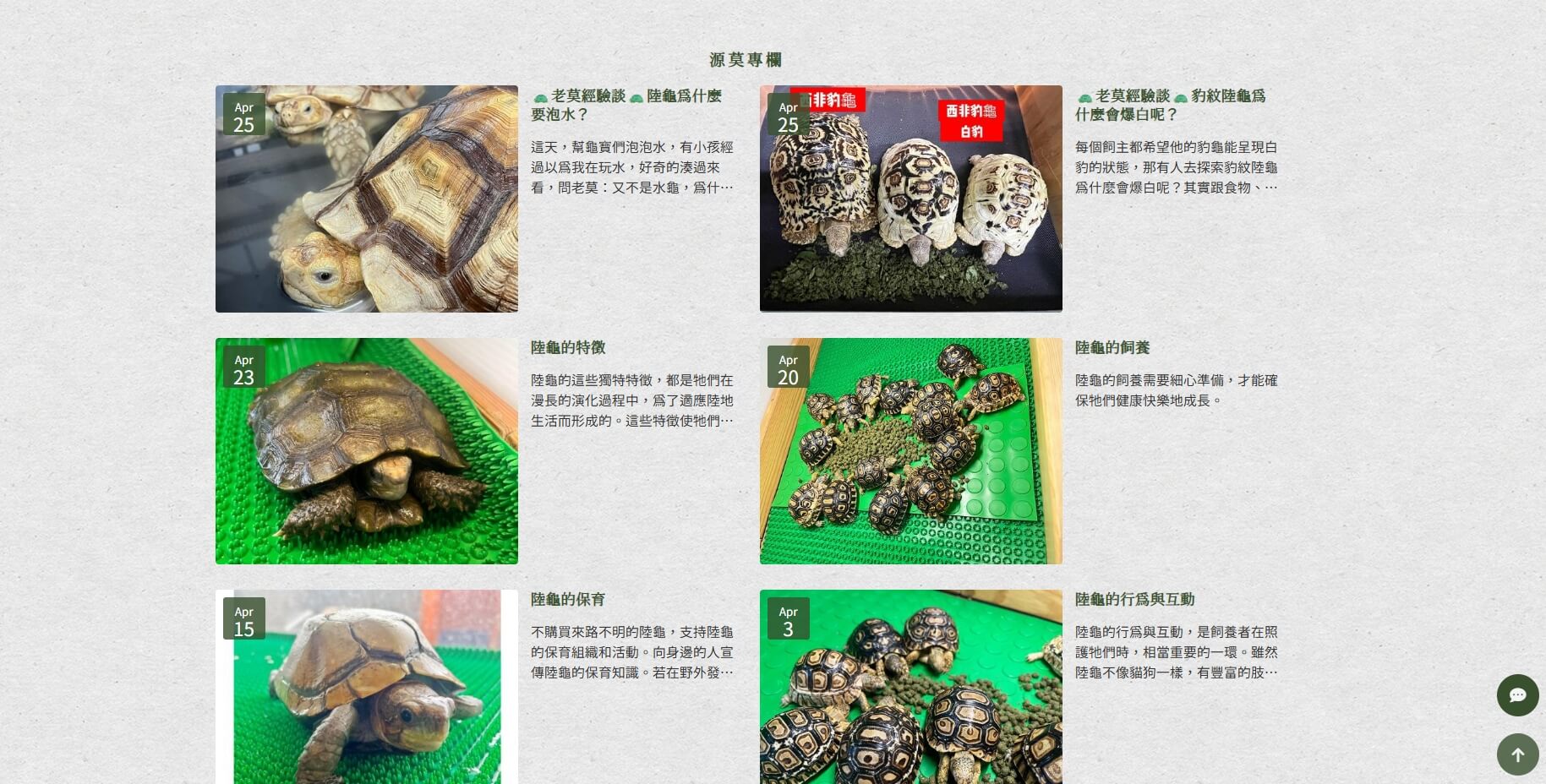 源莫陸龜草本飼料上線 源莫陸龜草本飼料上線